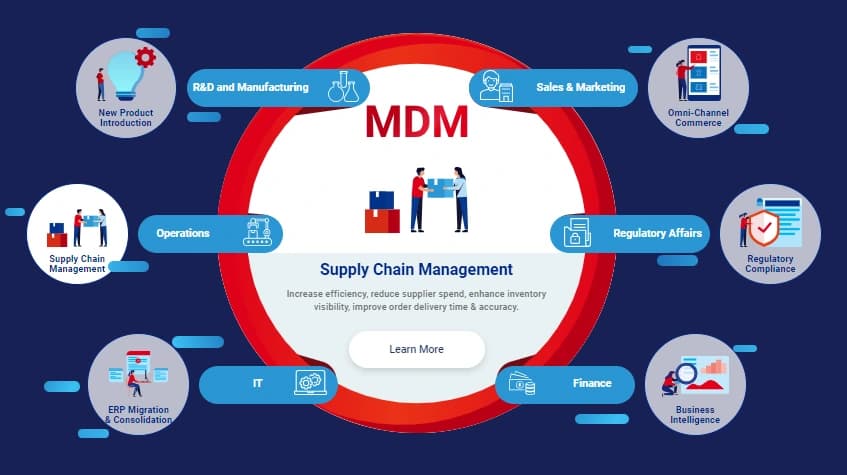 Master Data Management Solution