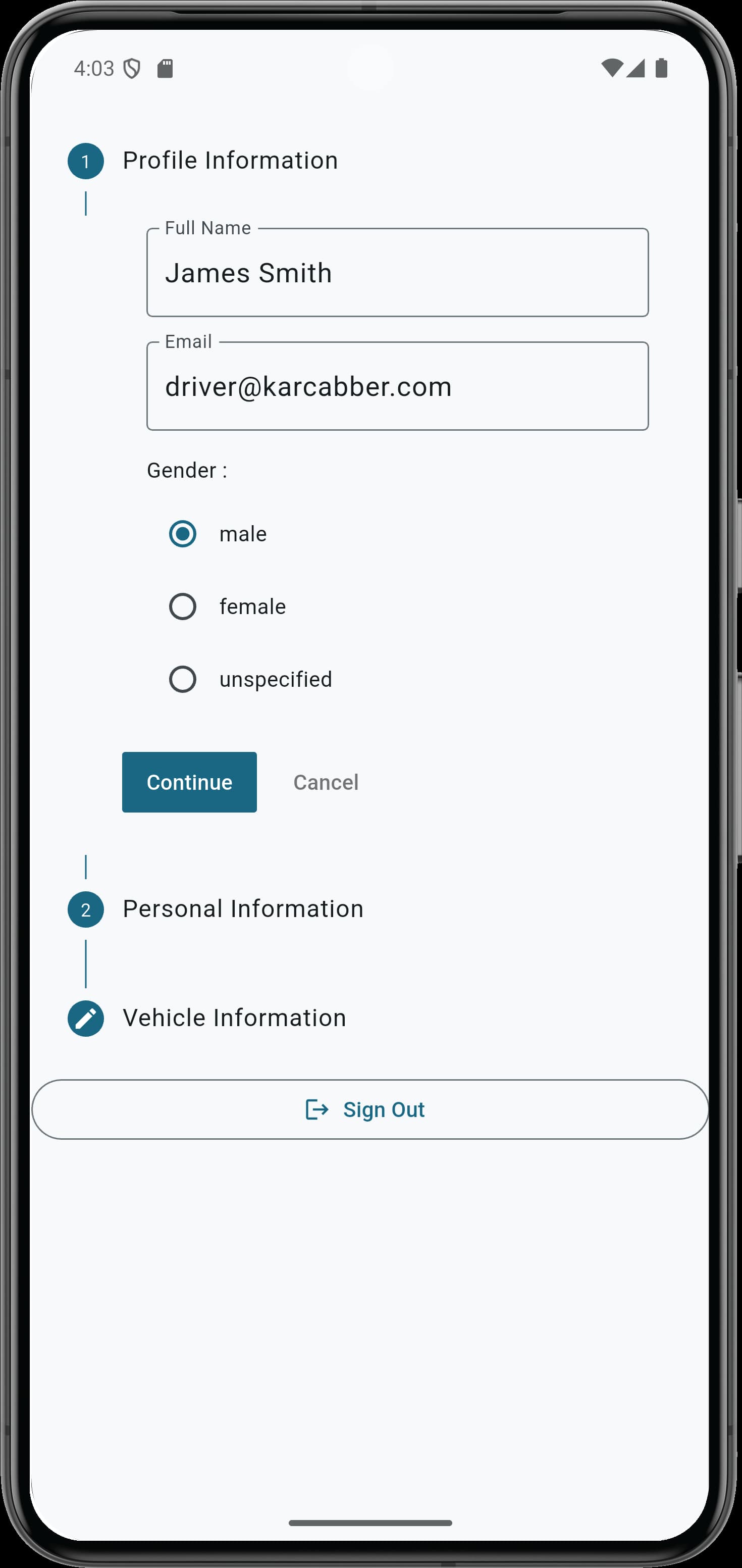 A form for filling in user profile information, including full name, email, and gender options (male, female, unspecified), along with "Continue" and "Cancel" buttons.